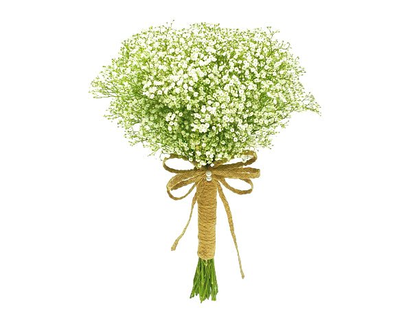 Gypso Hand Bouquet - Larissa